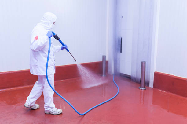 Professional  Pressure Washing Services in Dryden, MI
